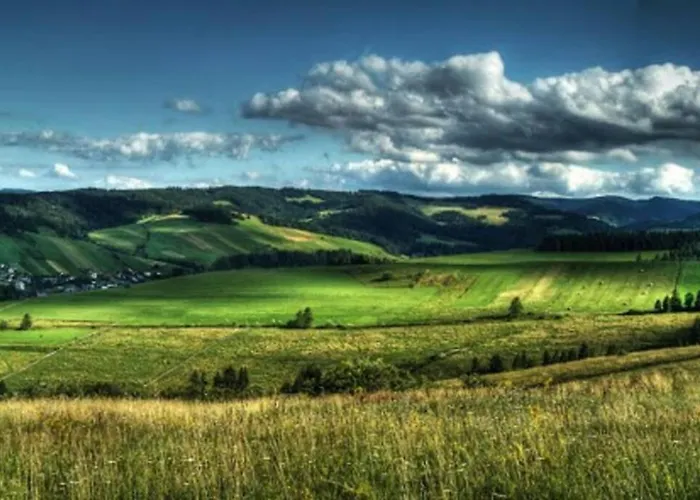 Σπίτι διακοπών Dom Janosik Kacwin